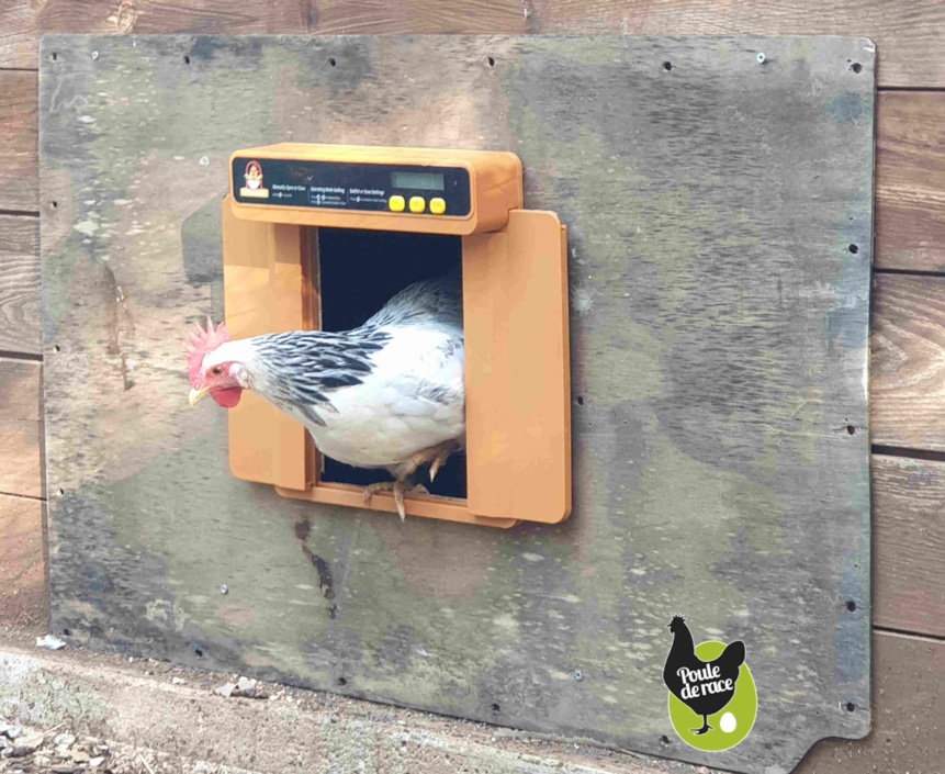 porte automatique pour poulailler porte automatique pour poulailler