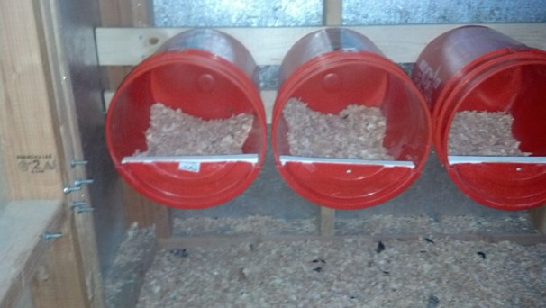 Les Pondoirs Pour Poules Fait Maison