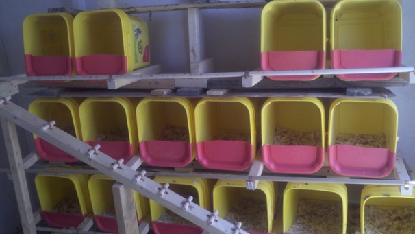 Les Pondoirs Pour Poules Fait Maison