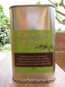La gale des pattes La gale des pattes
