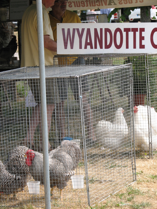 le club de la Wyandotte était présent le club de la Wyandotte était présent