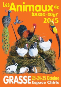 exposition 2015 exposition 2015