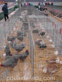 Animo et Nature Animo et Nature