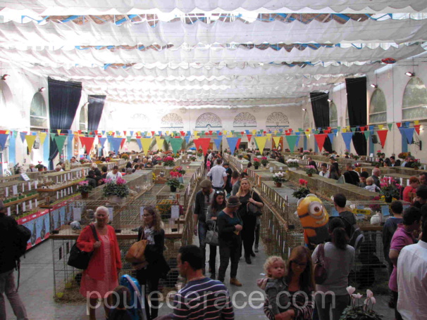 19ème Exposition Internationale d’Animaux de basse-cour 19ème Exposition Internationale d’Animaux de basse-cour