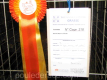 Acheter en exposition Acheter en exposition