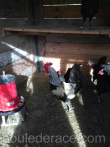 parquet de Denizli parquet de Denizli