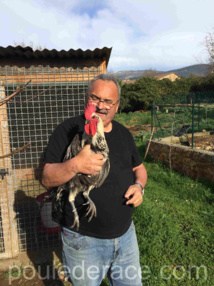 Monsieur Pierini et un coq Denizli Monsieur Pierini et un coq Denizli
