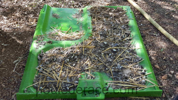 Tiroir à déjections avant nettoyage Tiroir à déjections avant nettoyage