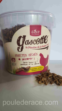 Aliment Bio et Friandises pour nos poules Aliment Bio et Friandises pour nos poules