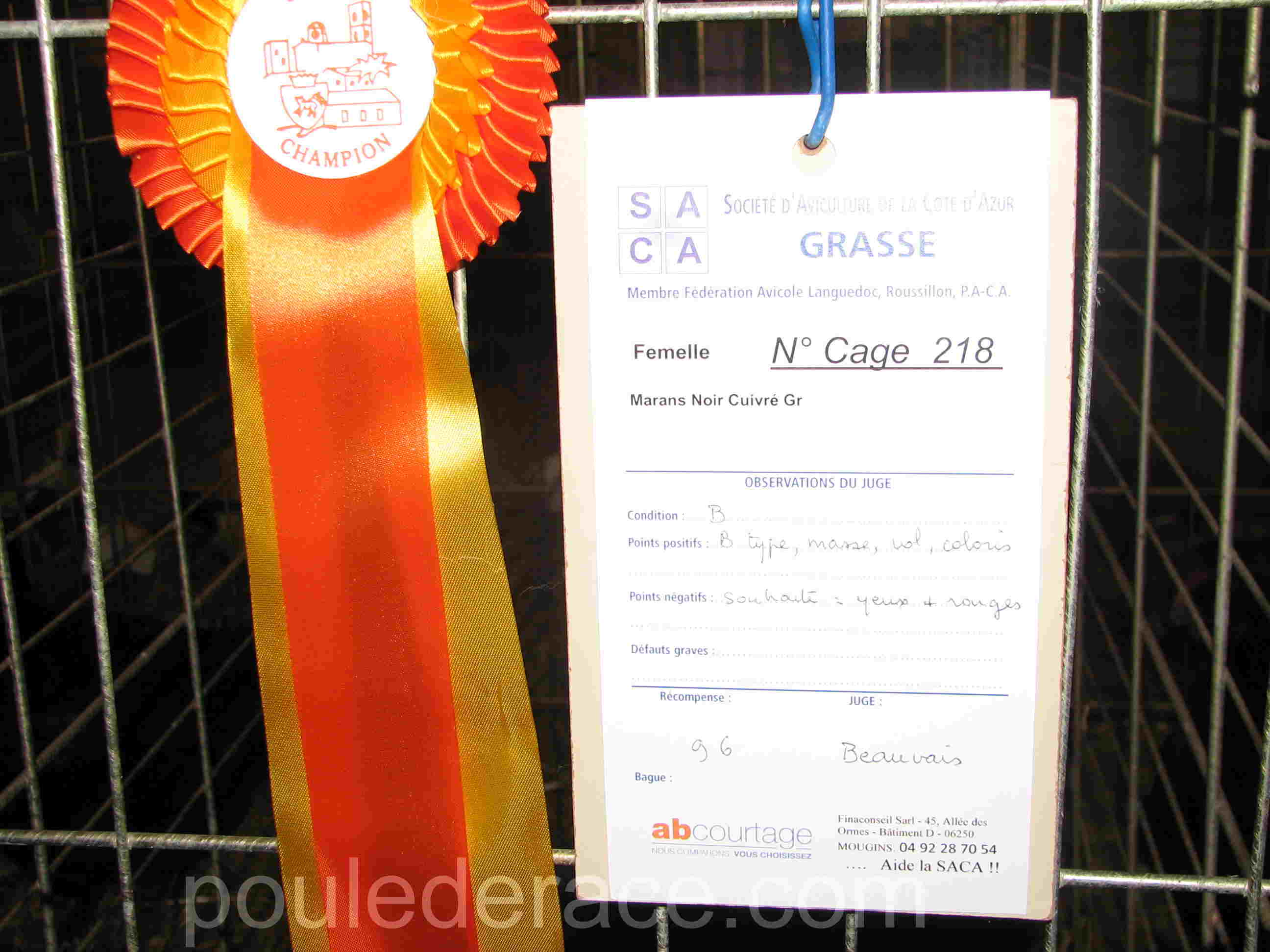 exposition 2016 exposition 2016
