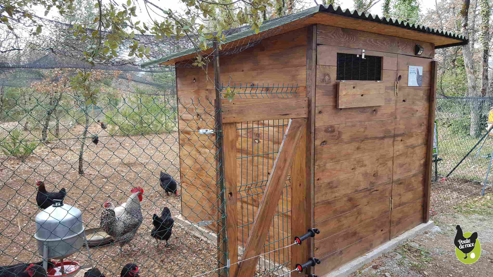 Construire Un Poulailler En Osb Tedocinfo Diverses Collections