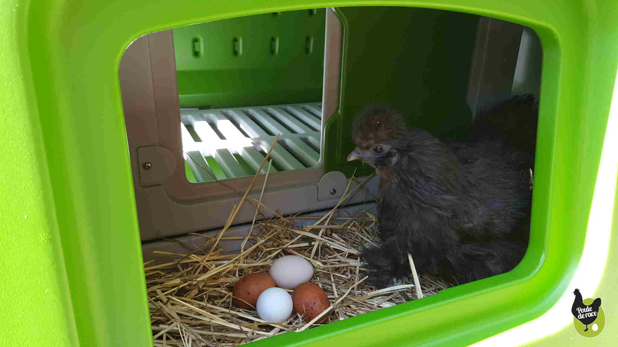 un nid séparé pouvant etre fermé par une porte coulissante un nid séparé pouvant etre fermé par une porte coulissante
