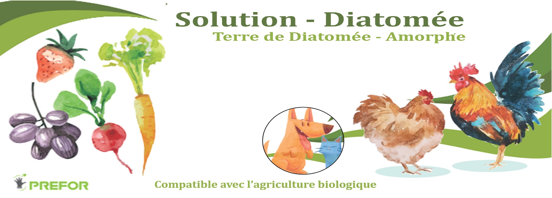 Terre de diatomée contre les poux rouges Terre de diatomée contre les poux rouges
