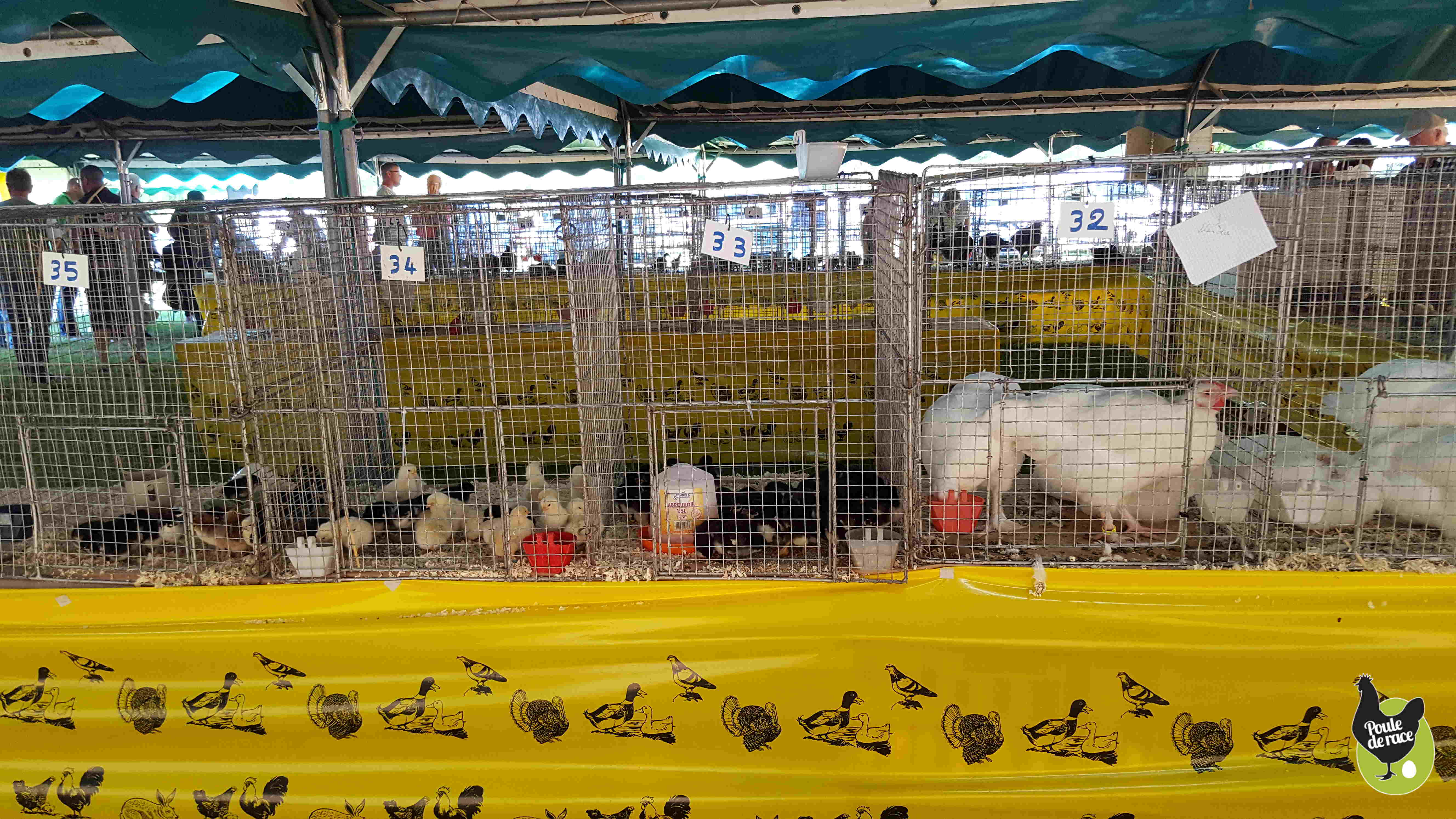 Fête européenne de la Marans