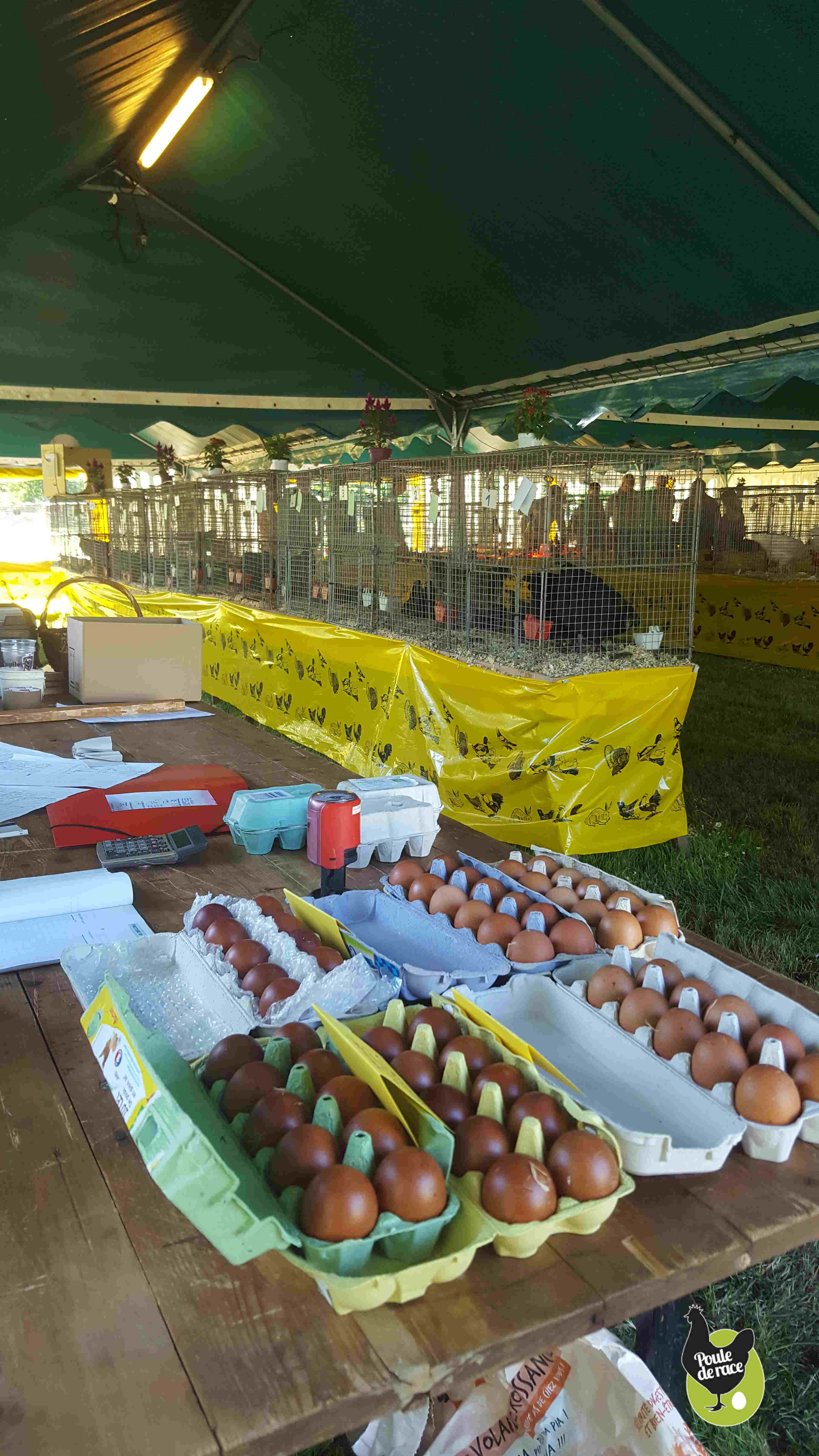 il y avait aussi des oeufs fécondés à vendre