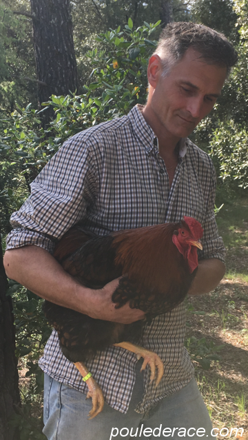 Loic Perrot Loic Perrot