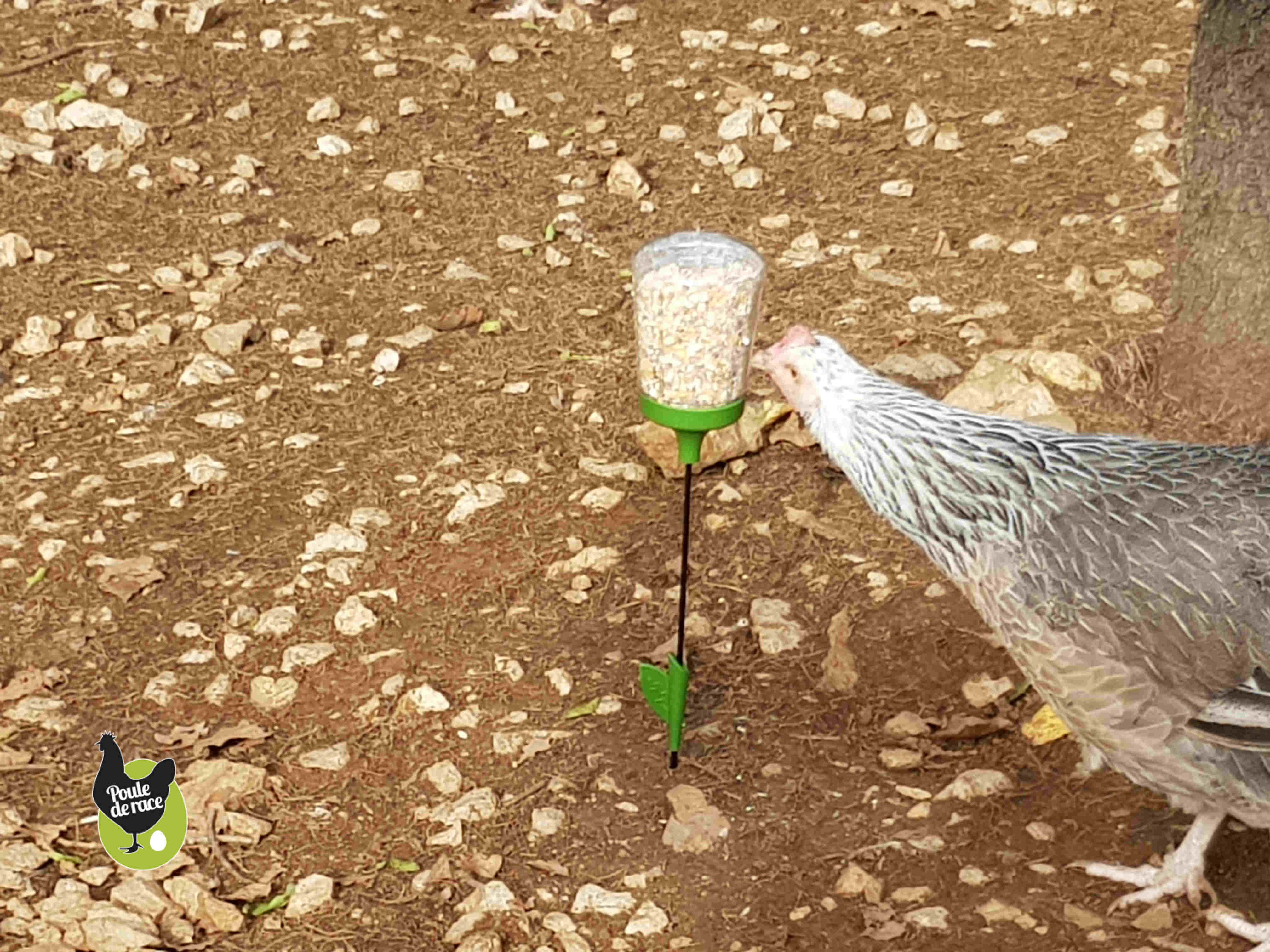 elles n'y résistent pas elles n'y résistent pas