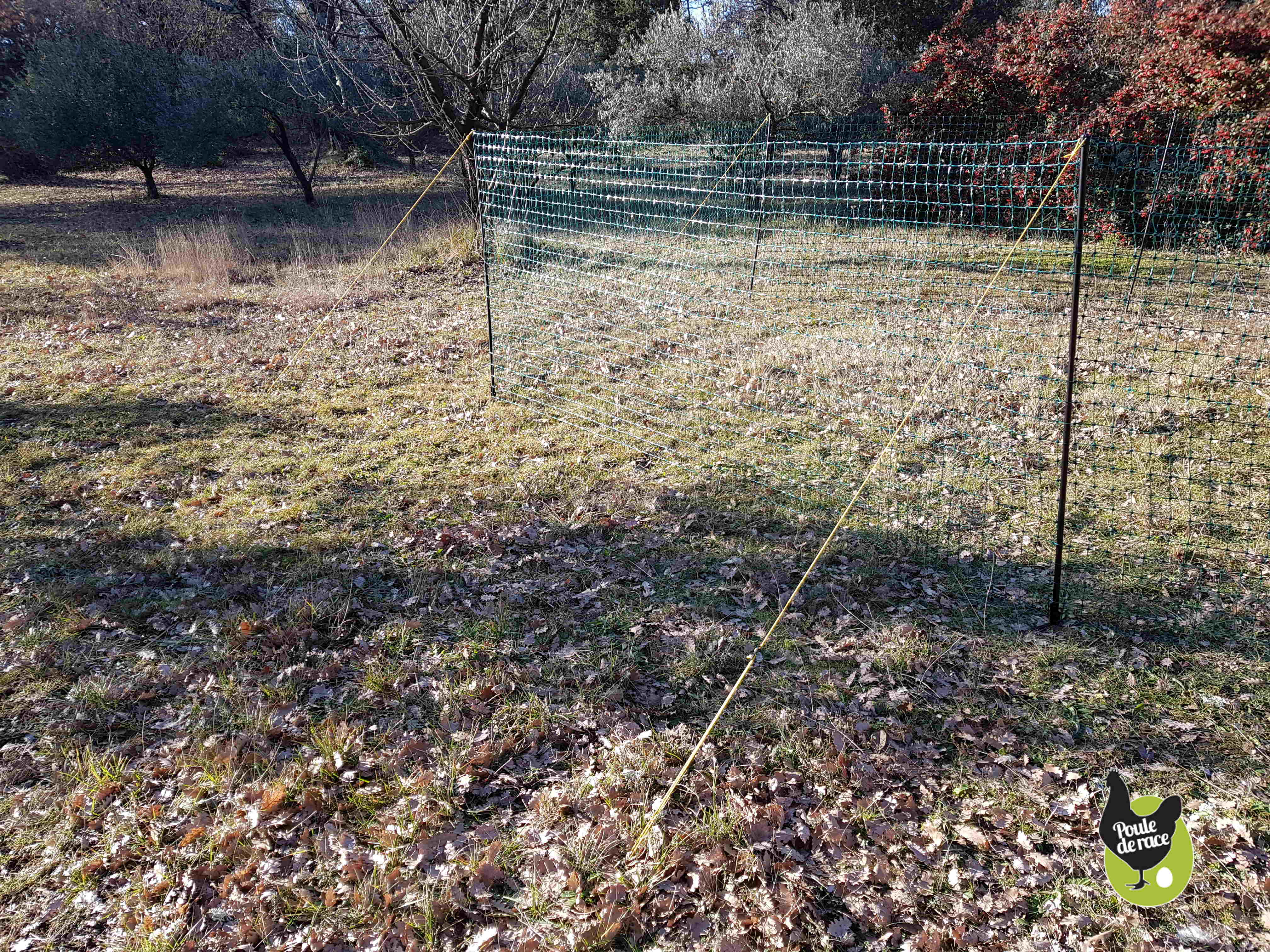 Filet à Poules Haute Sécurité 15 M X 1,26 M – Maillage 5 Cm – Avec Piquets, Sardines, Tendeurs Et Porte Intégrée – Pour Enclos Volailles
