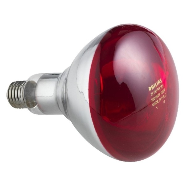 lampe infrarouge pour poussins