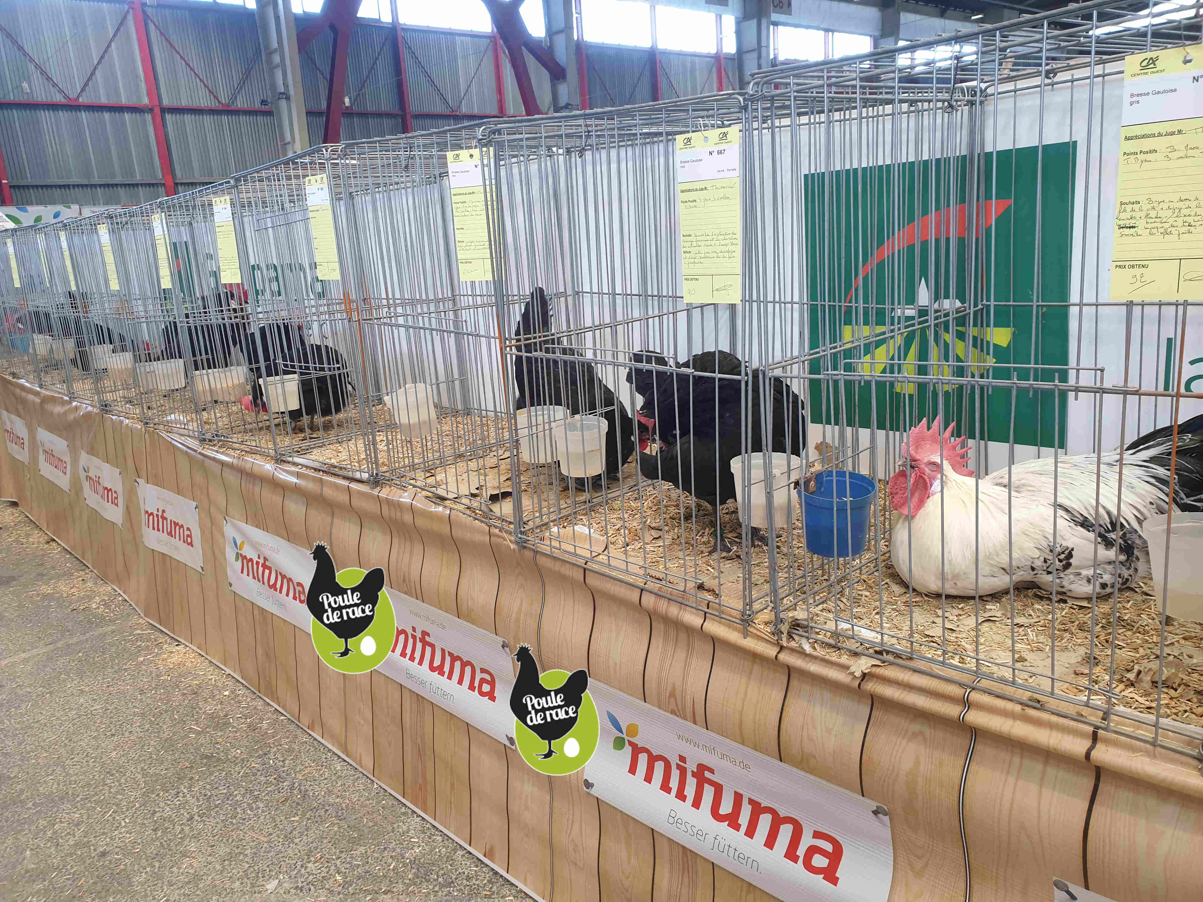 Exposition de Limoges 2021 Exposition de Limoges 2021