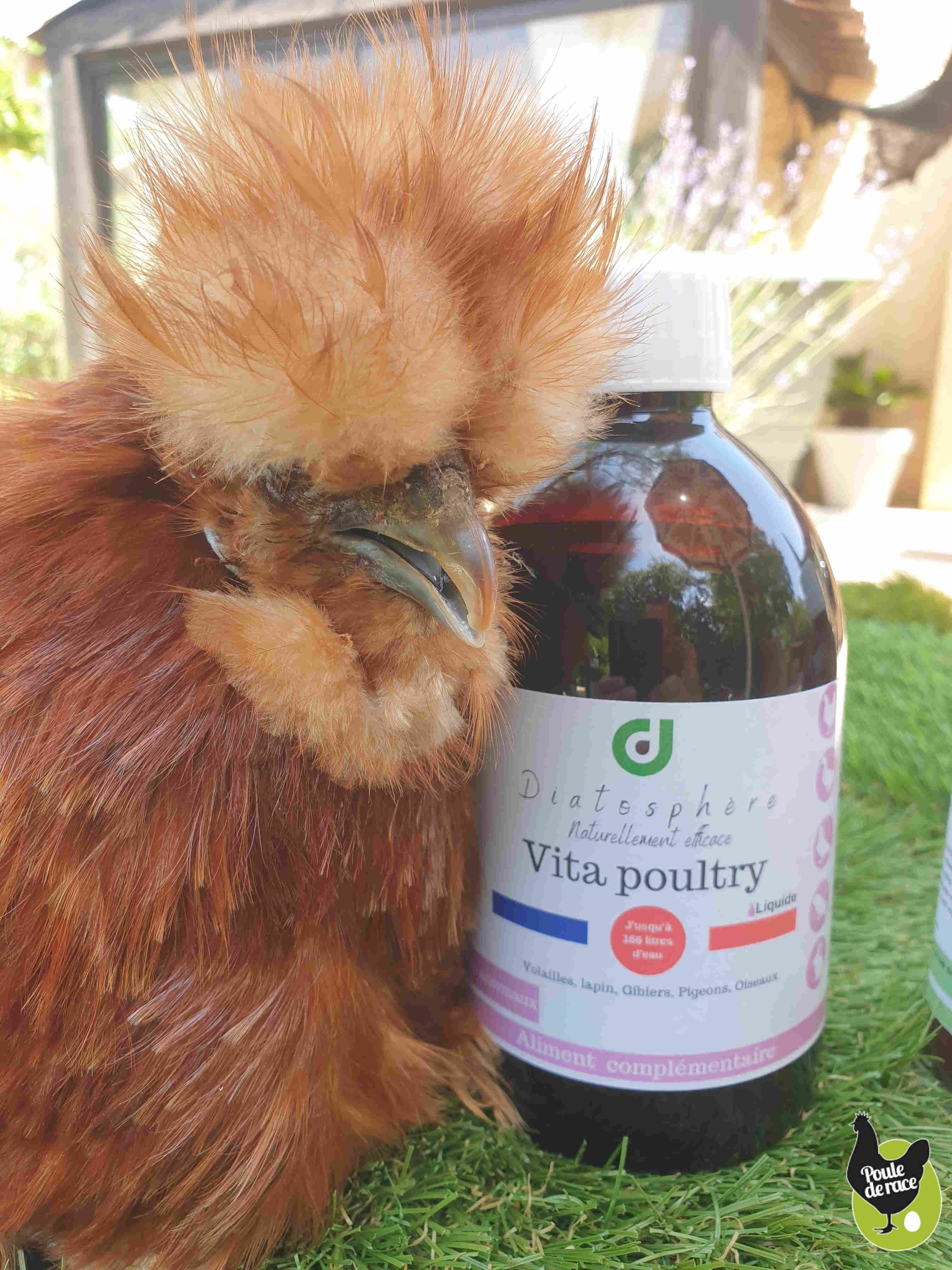 J'ai 10 ans ça ne se voit pas, mon secret: vita-poultry J'ai 10 ans ça ne se voit pas, mon secret: vita-poultry