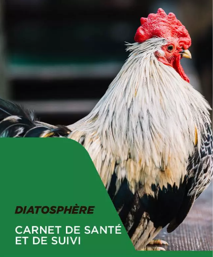 Diatosphère soins et hygiène naturels pour vos poules Diatosphère soins et hygiène naturels pour vos poules