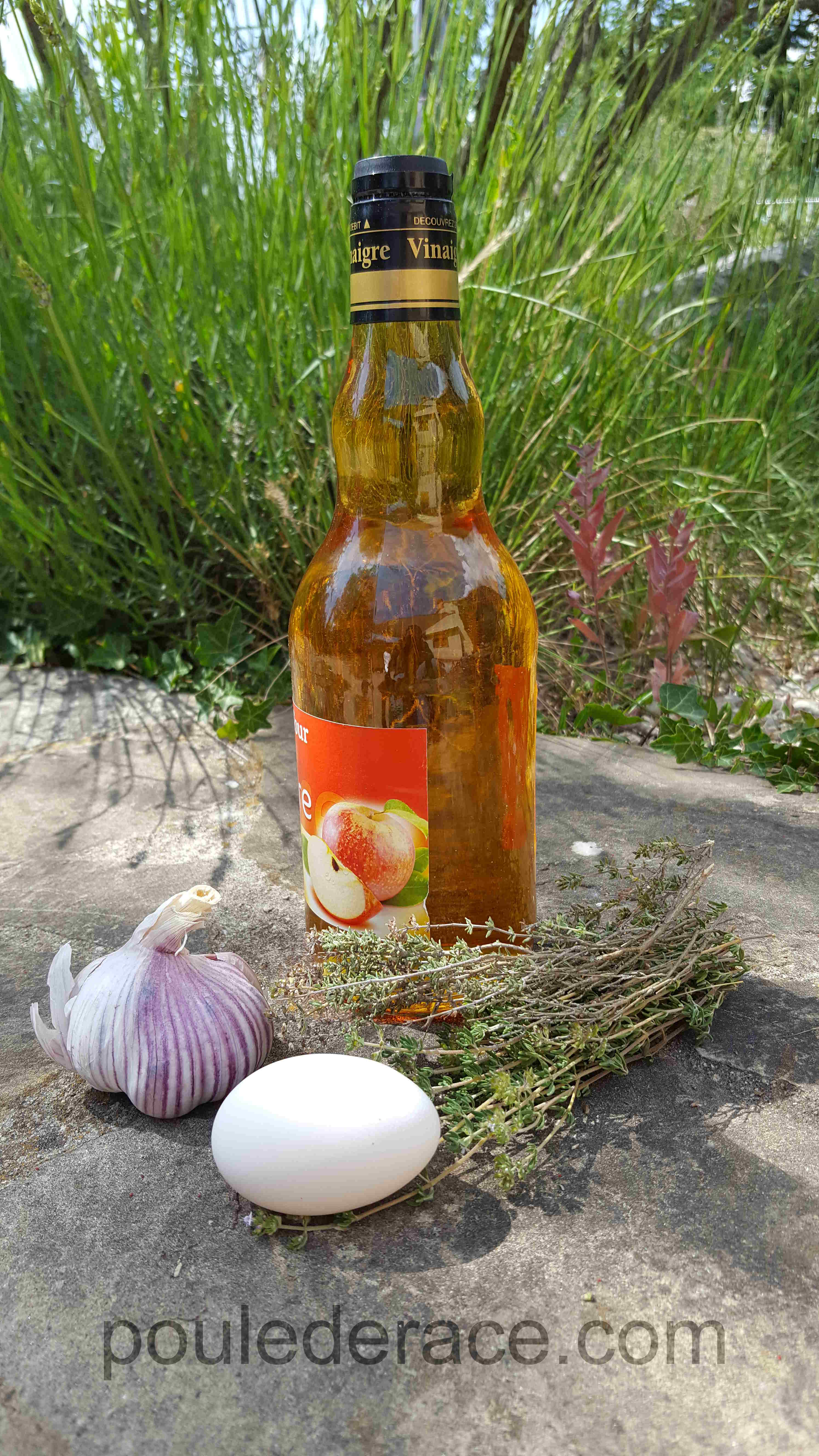 Soins naturels pour les poules Soins naturels pour les poules