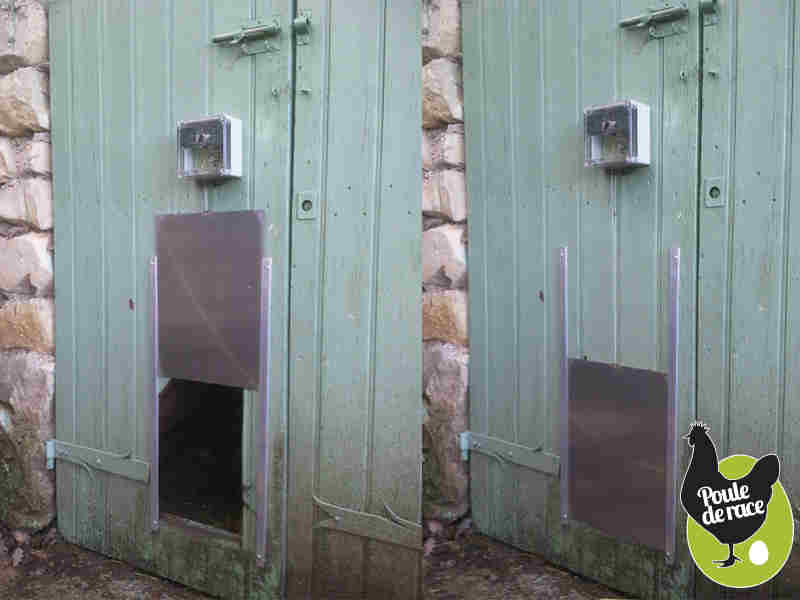 trappe automatique pour poulailler trappe automatique pour poulailler