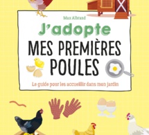 J'adopte mes premières poules