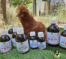 Diatosphère soins et hygiène naturels pour vos poules