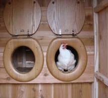 Les pondoirs pour poules "fait maison"