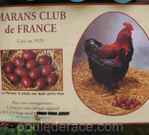 Fête europeenne de la poule de Marans 