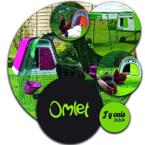 https://www.omlet.fr/shop/elevage_des_poules/?aid=POULEDER